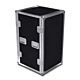 20U Rack proLINE 450 mm Usable Depth