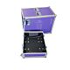 d&b audiotechnik T10 x4 Flight Case